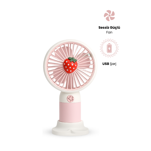 CONCORD MS-50 Mini Fan ŞARJLI